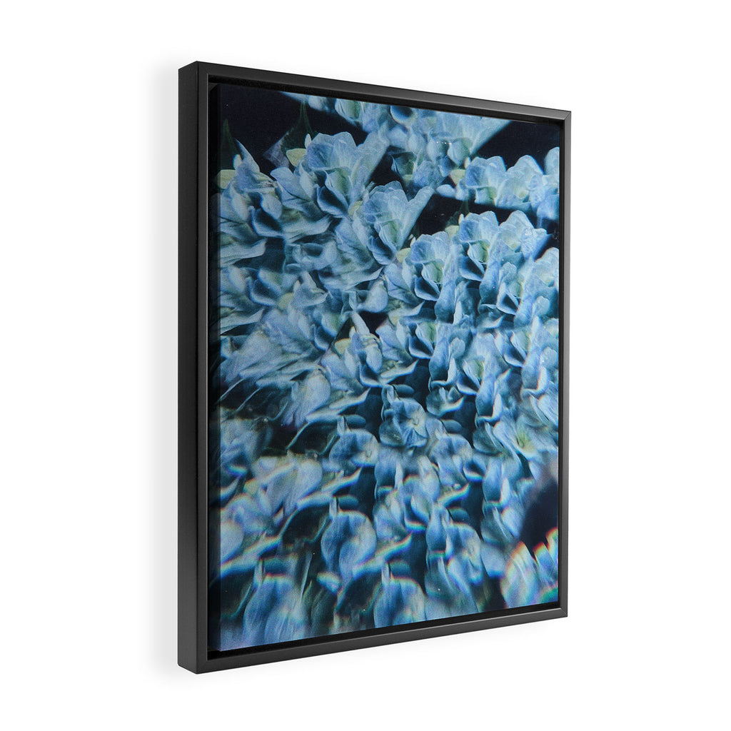 Breath of Fresh Air Framed Canvas Print Gallery Image 2