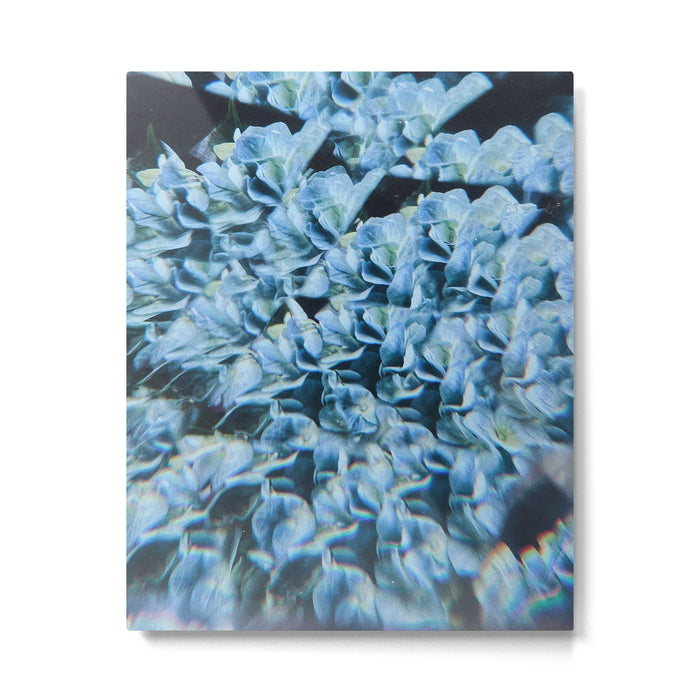 Breath of Fresh Air Metal Print Gallery Image 1