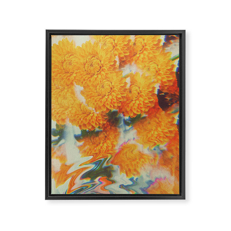 Dahlia Daydreams Framed Canvas Print Gallery Image 6