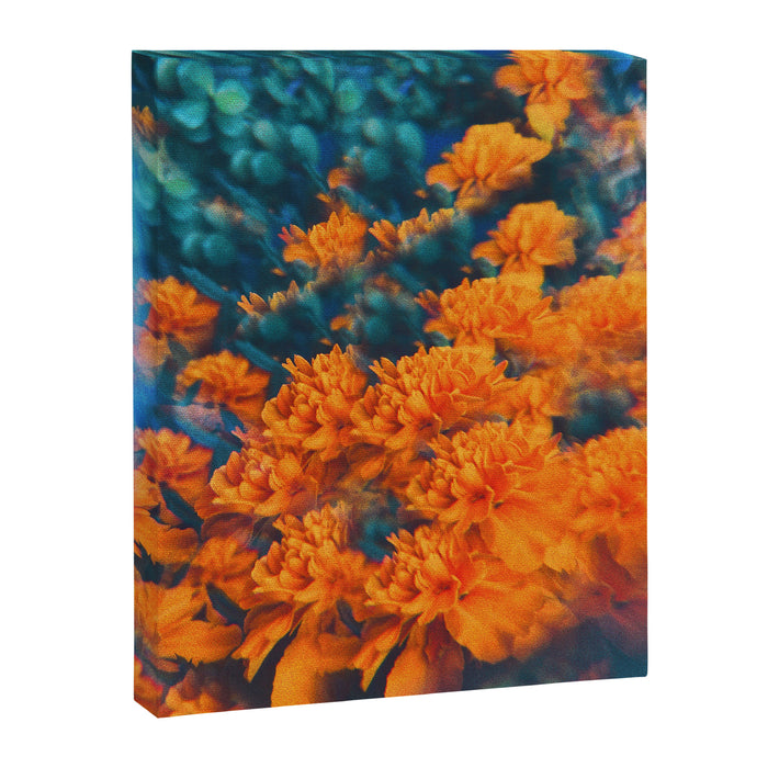 Esmeralda Canvas Print Gallery Image 1