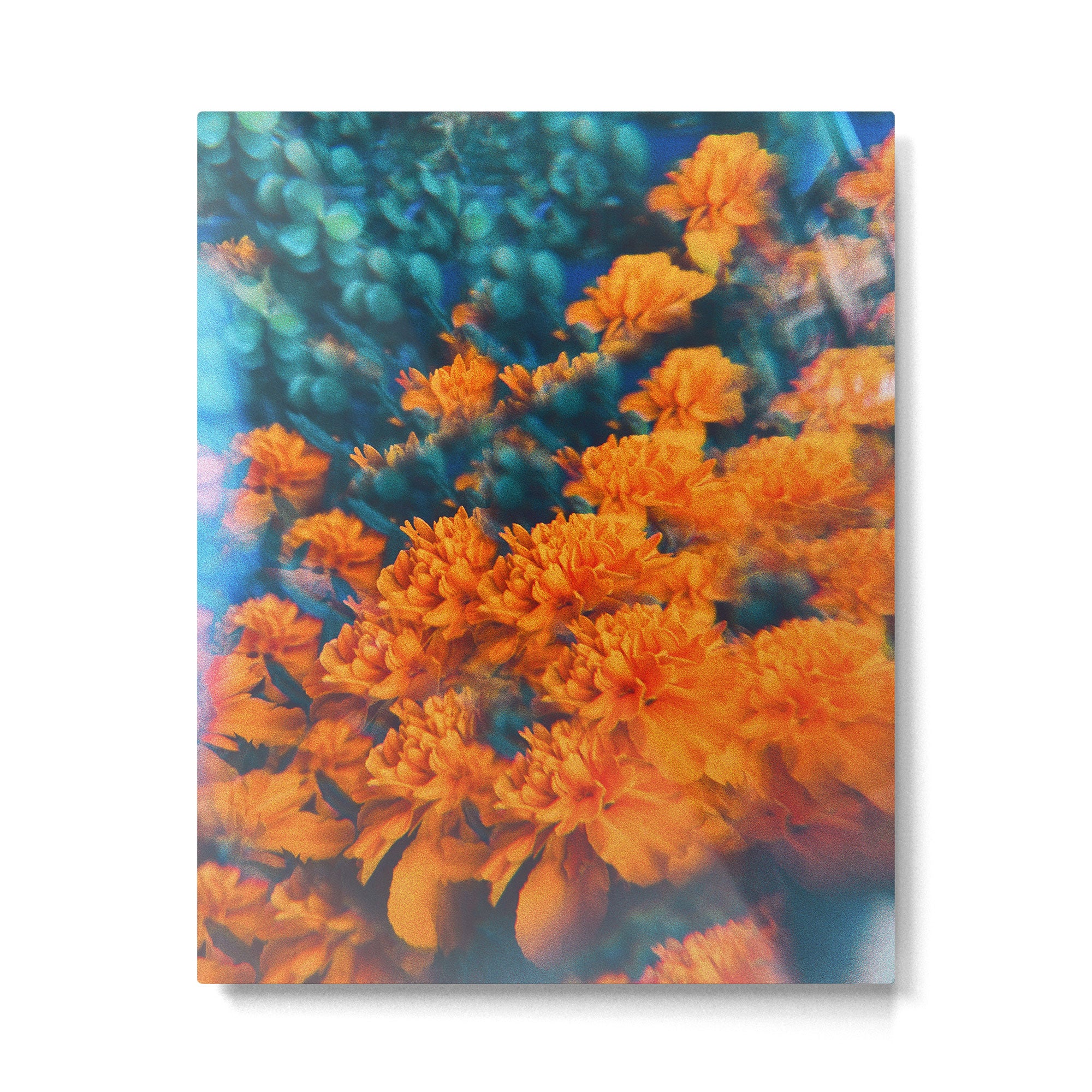 Esmeralda Metal Print Gallery Image 4