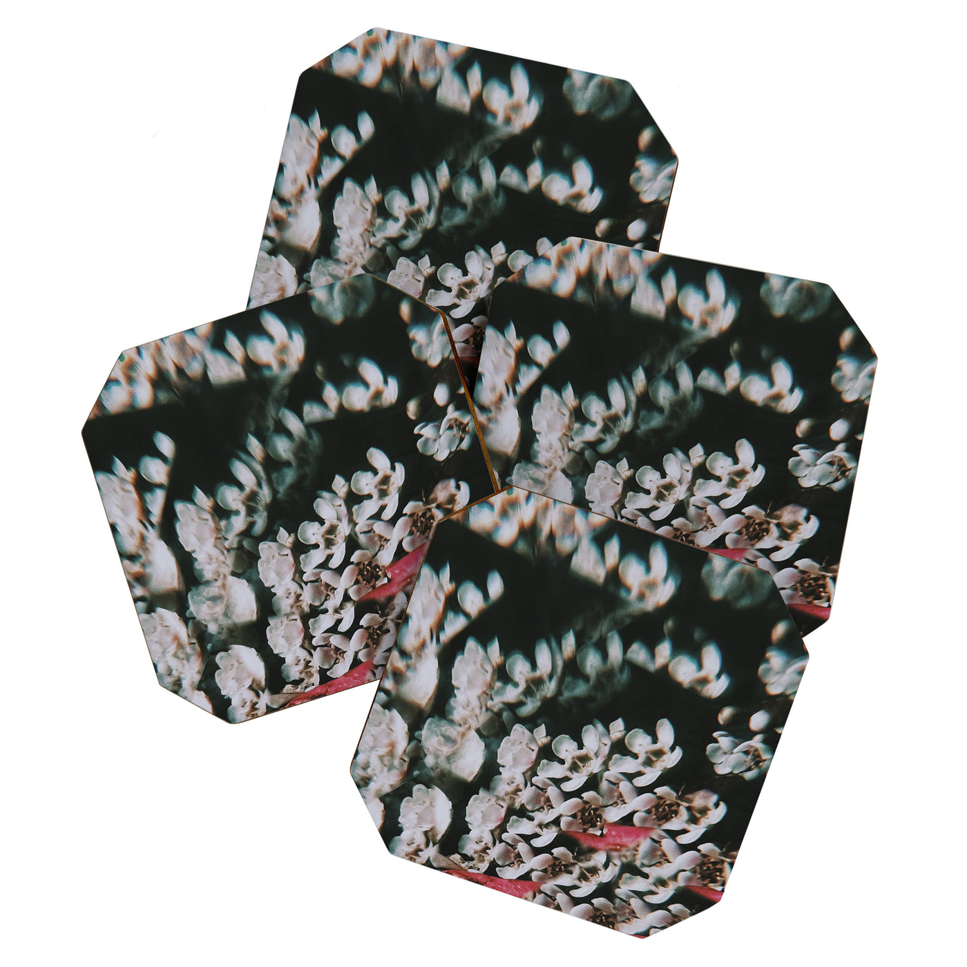 Is it a dream? Coaster