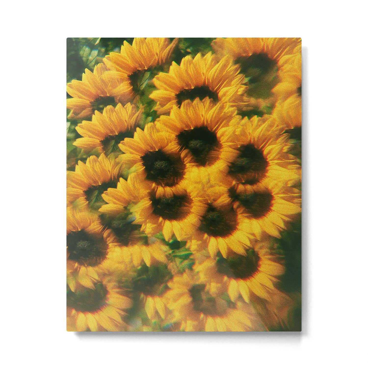 Karla Metal Print Gallery Image 4