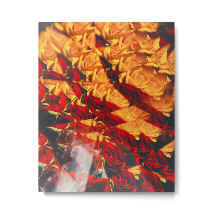 Kayla Metal Print Gallery Image 1