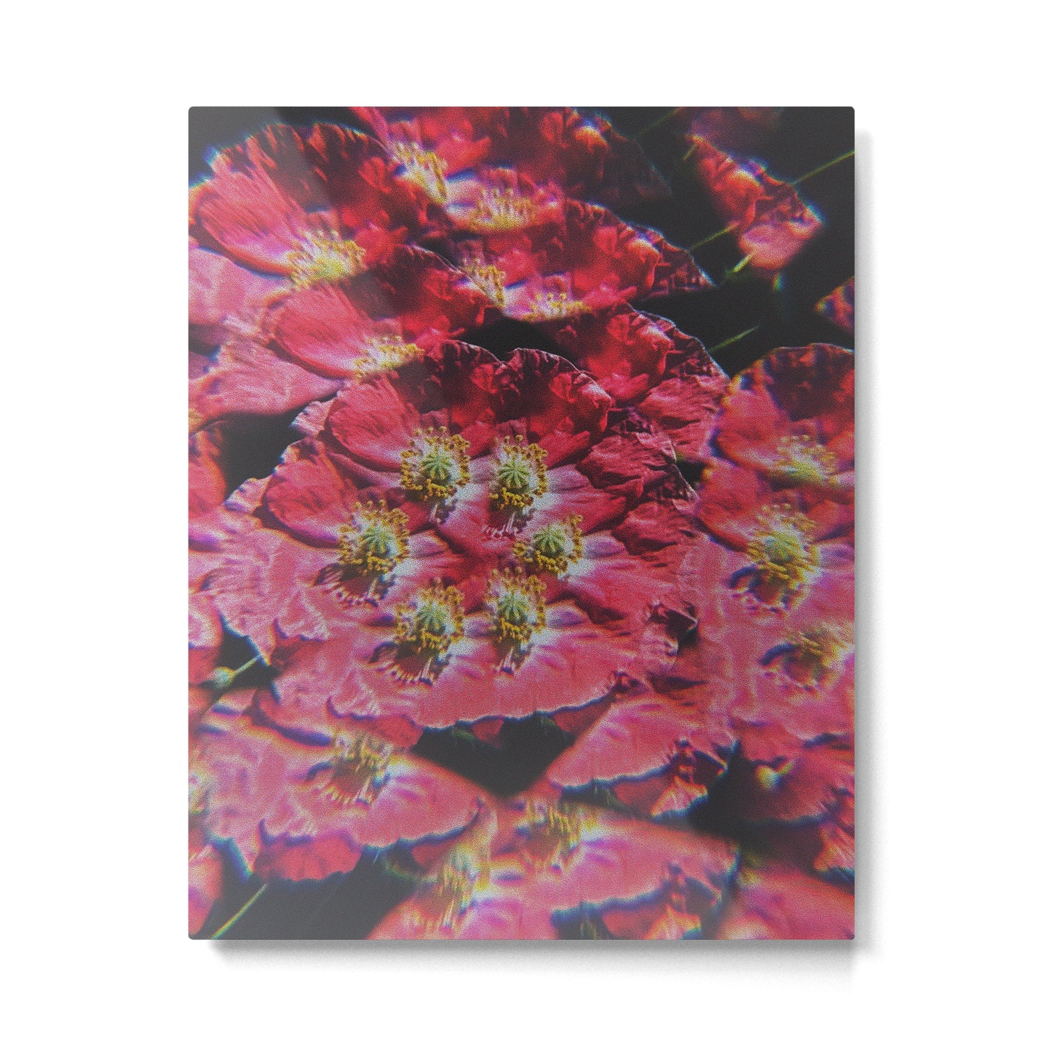 Liberate Metal Print Gallery Image 4
