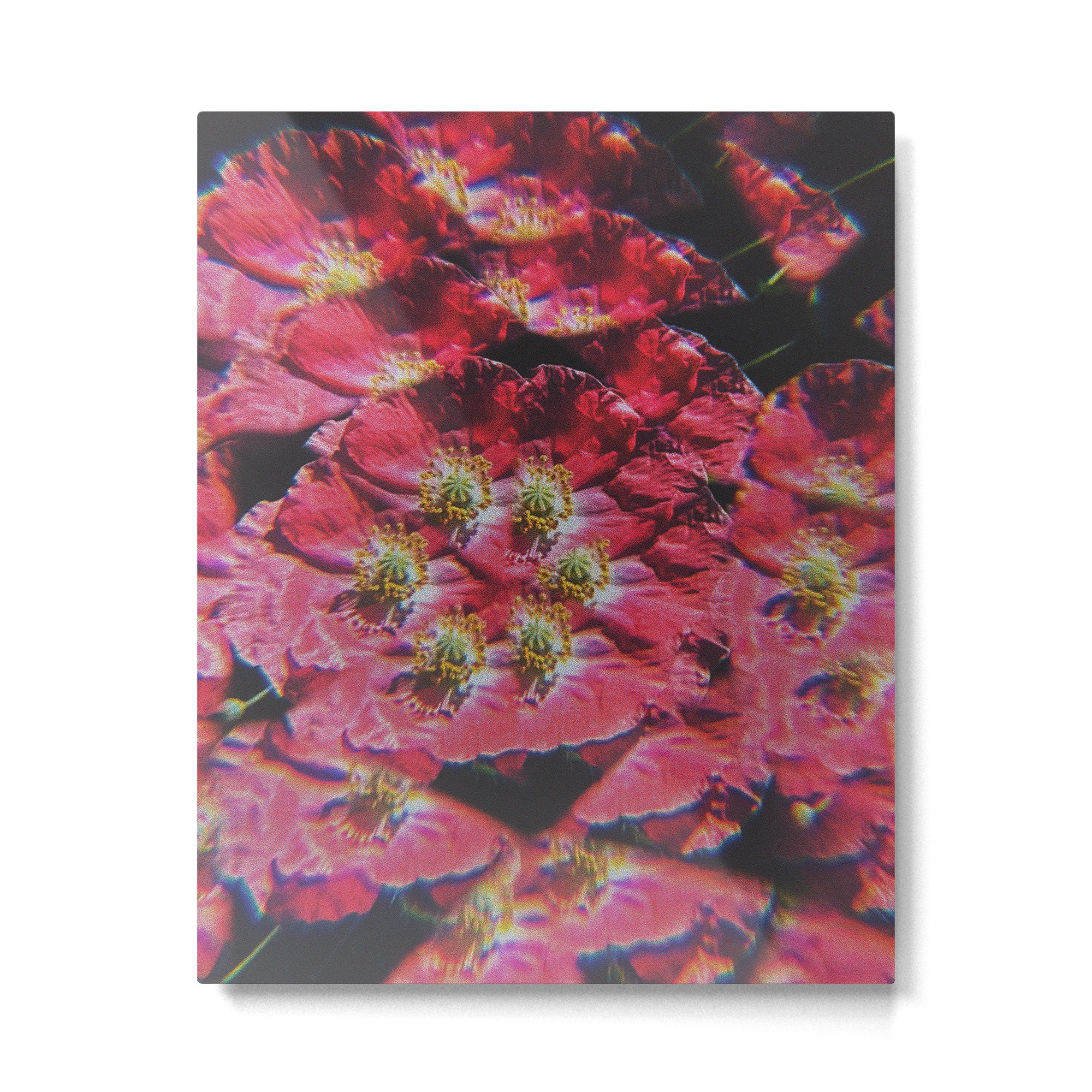Liberate Metal Print Gallery Image 4
