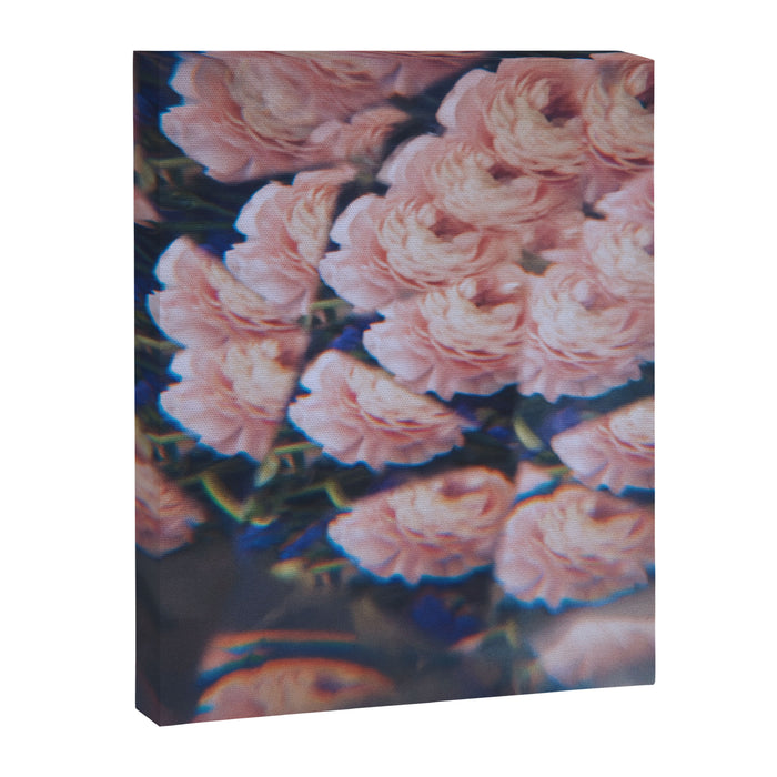 One more chance Canvas Print Gallery Image 1