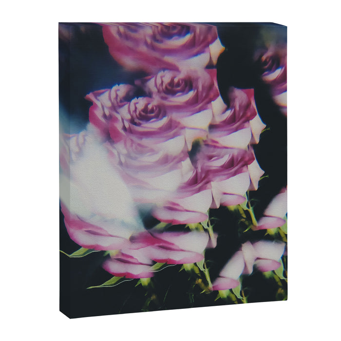 Persuasion Canvas Print Gallery Image 1