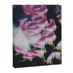 Persuasion Canvas Print Gallery Image 6