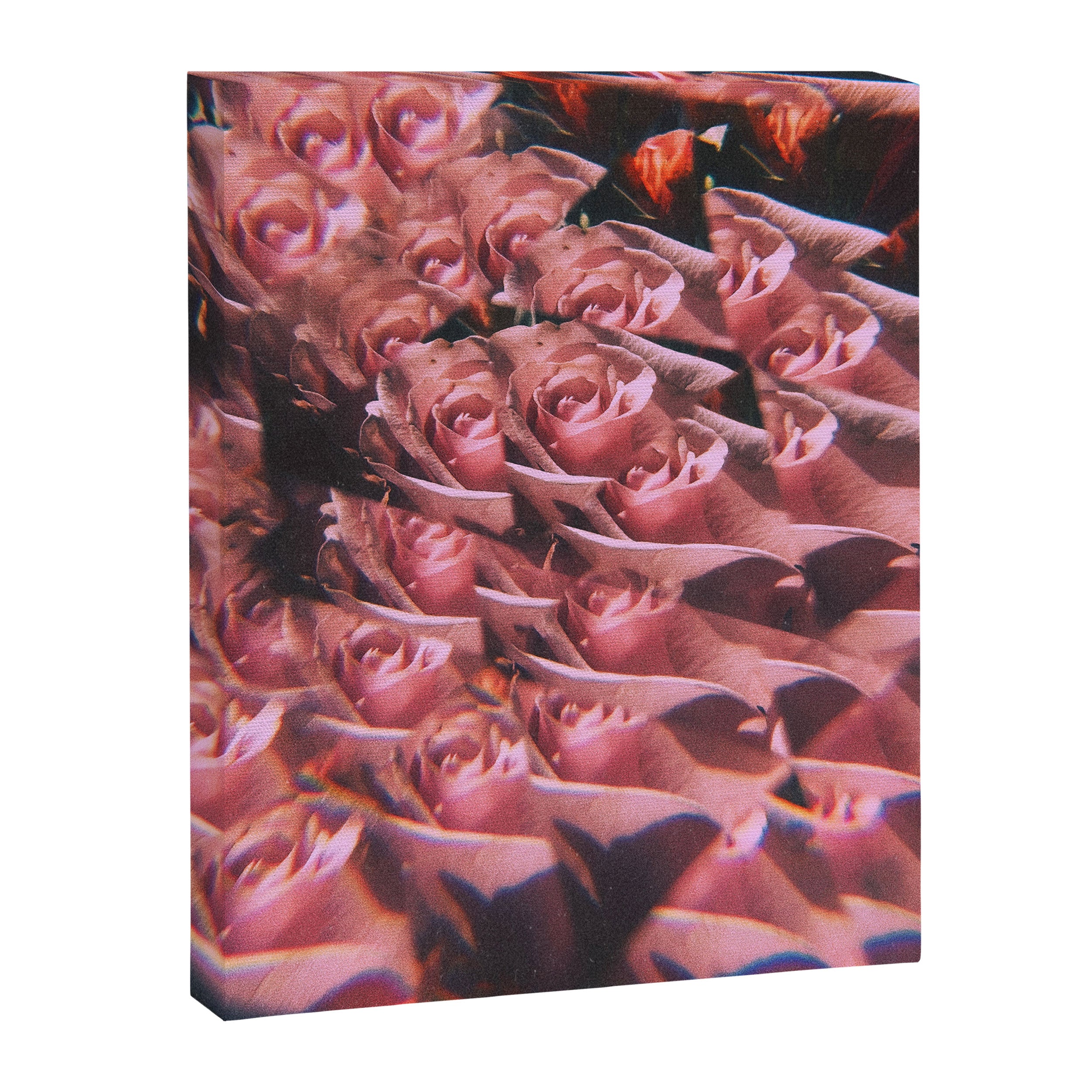 Set me free Canvas Print Gallery Image 6