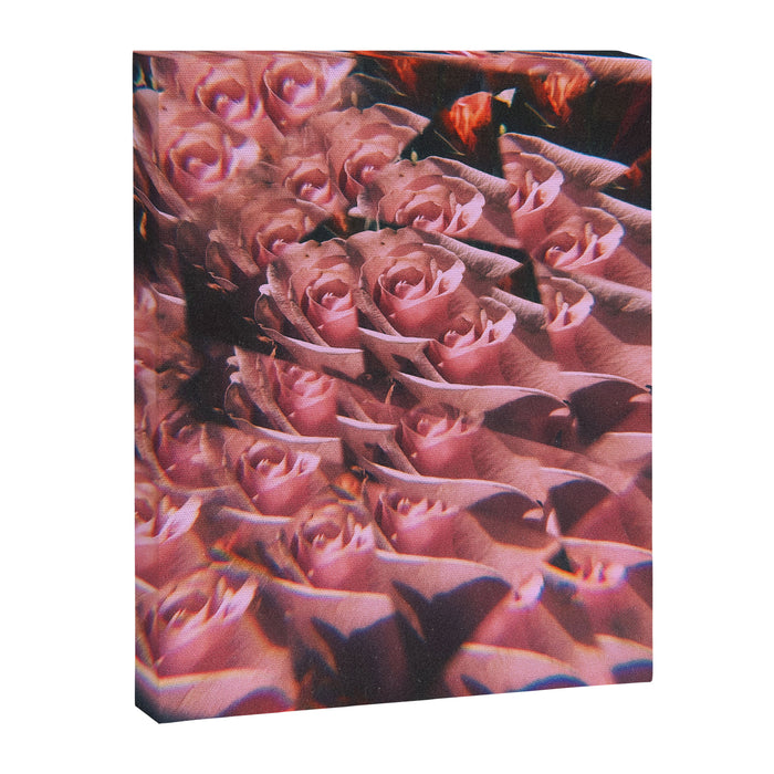 Set me free Canvas Print Gallery Image 1