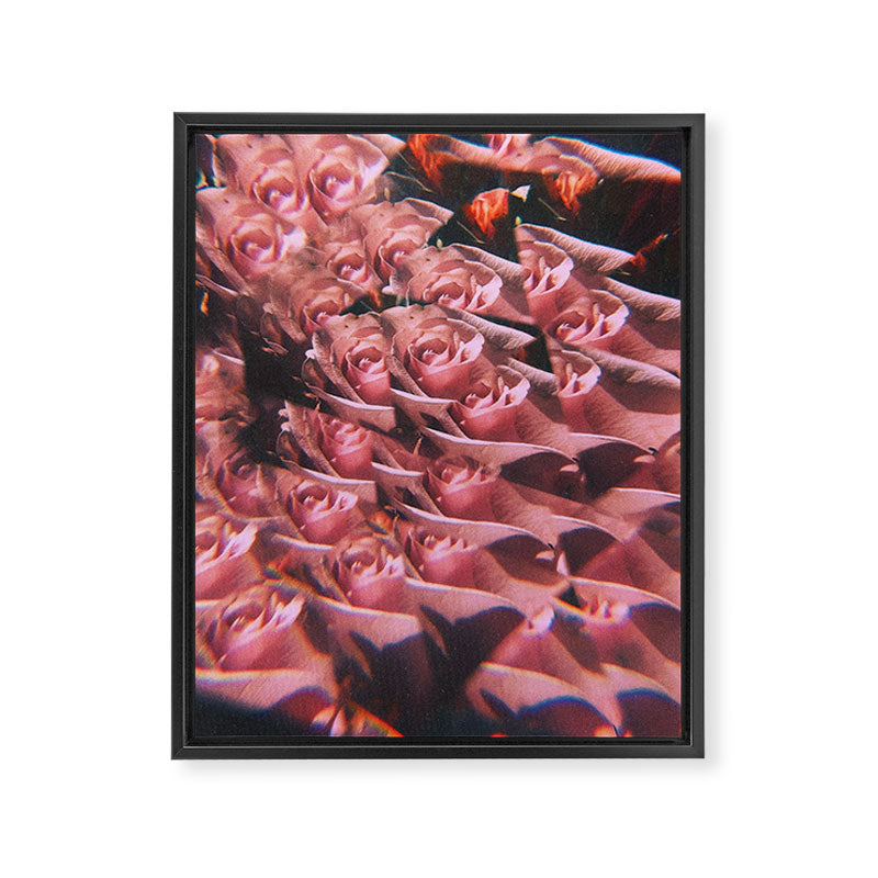 Set me free Framed Canvas Print Gallery Image 6