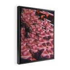 Set me free Framed Canvas Print Gallery Image 2