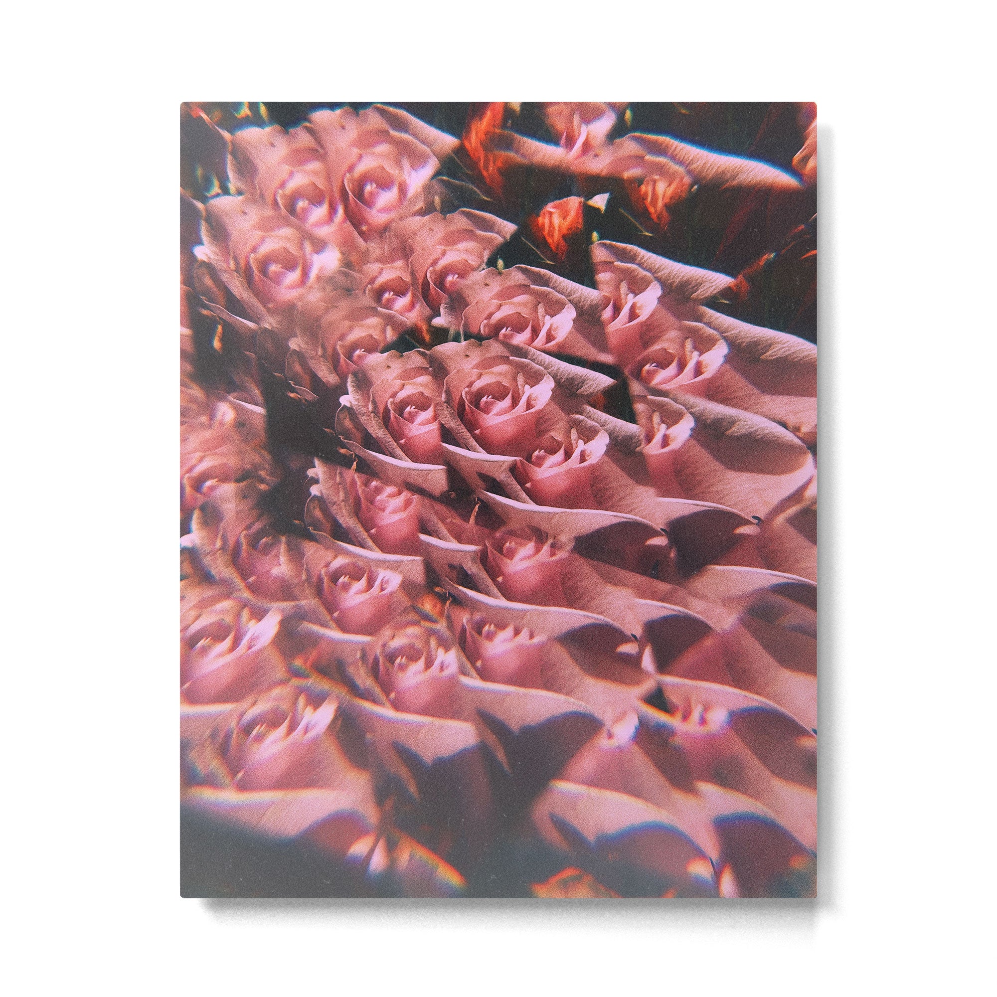 Set me free Metal Print Gallery Image 4