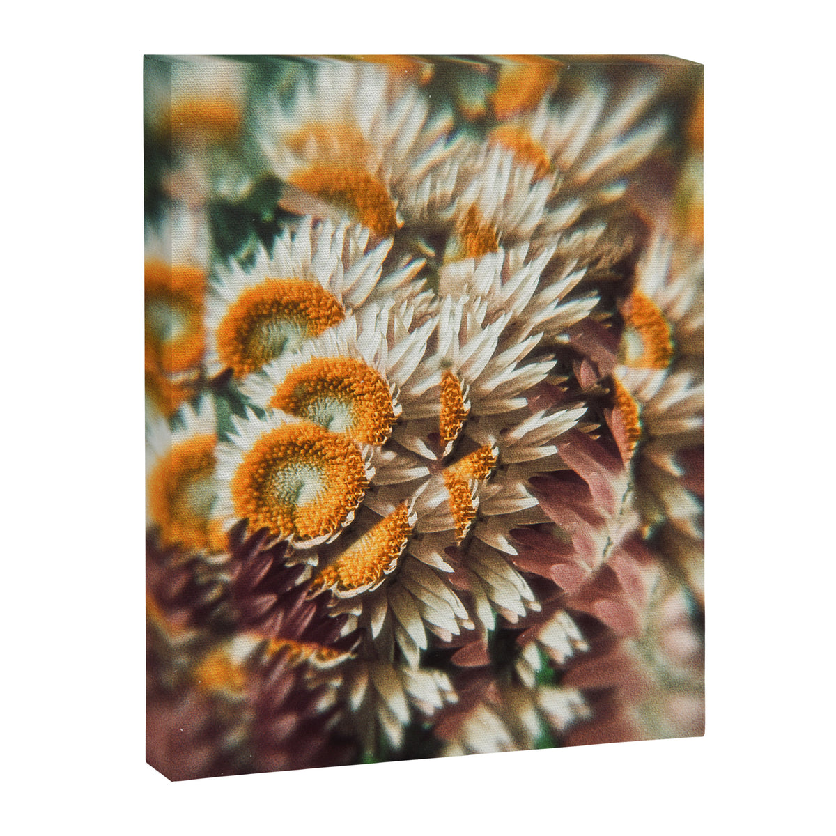 still falling Canvas Print Gallery Image 6