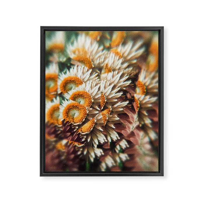 still falling Framed Canvas Print Gallery Image 1