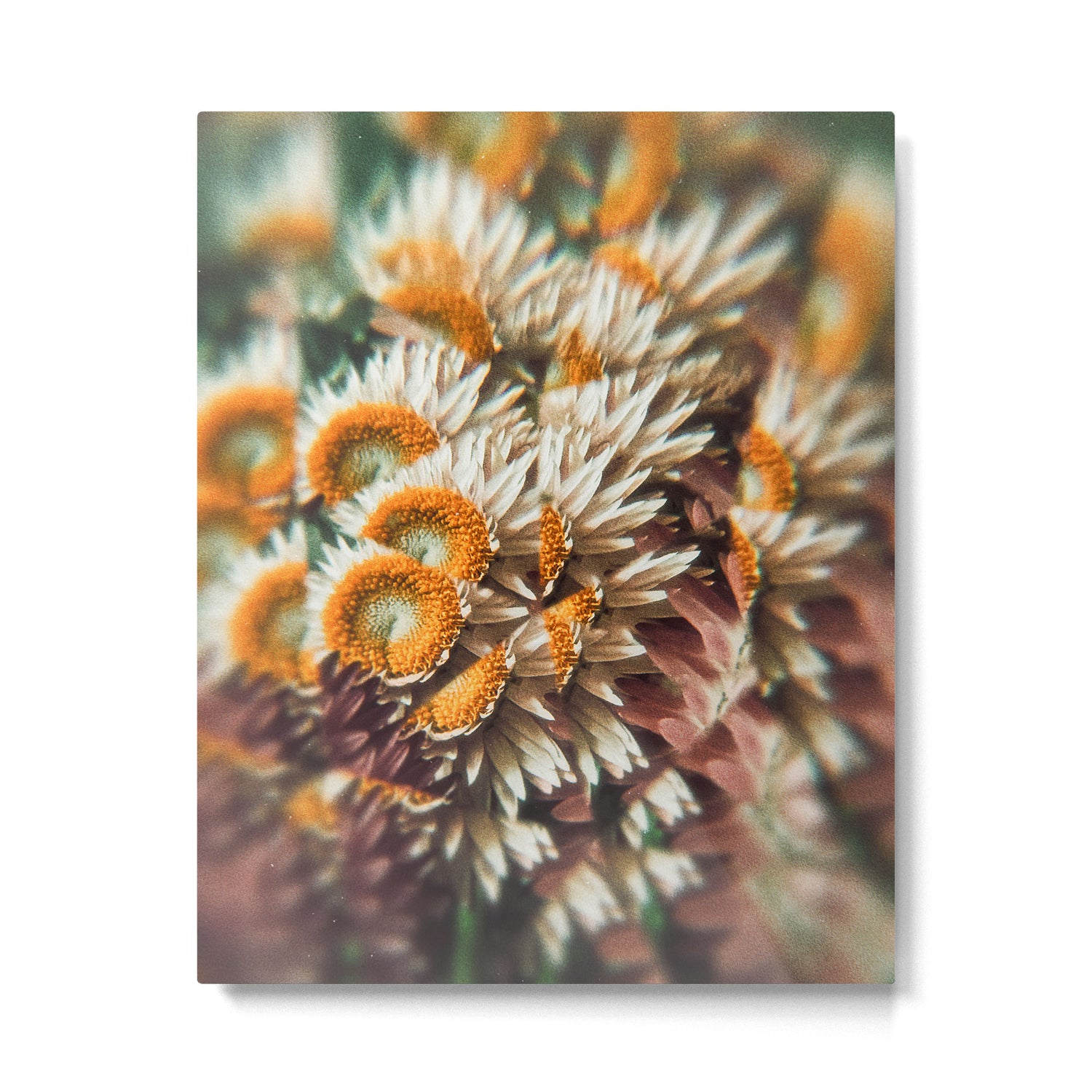 still falling Metal Print Gallery Image 4