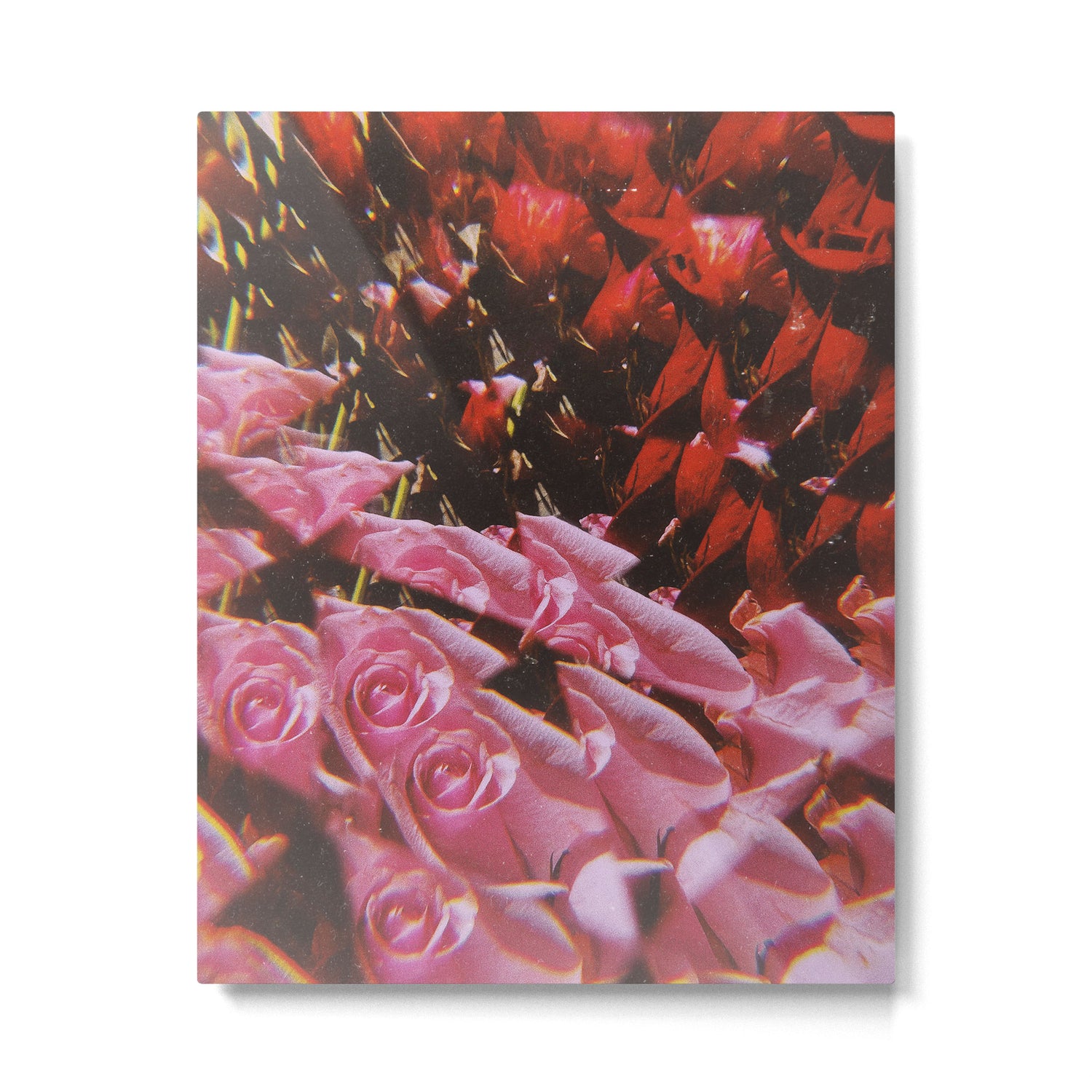 take this kiss Metal Print Gallery Image 4