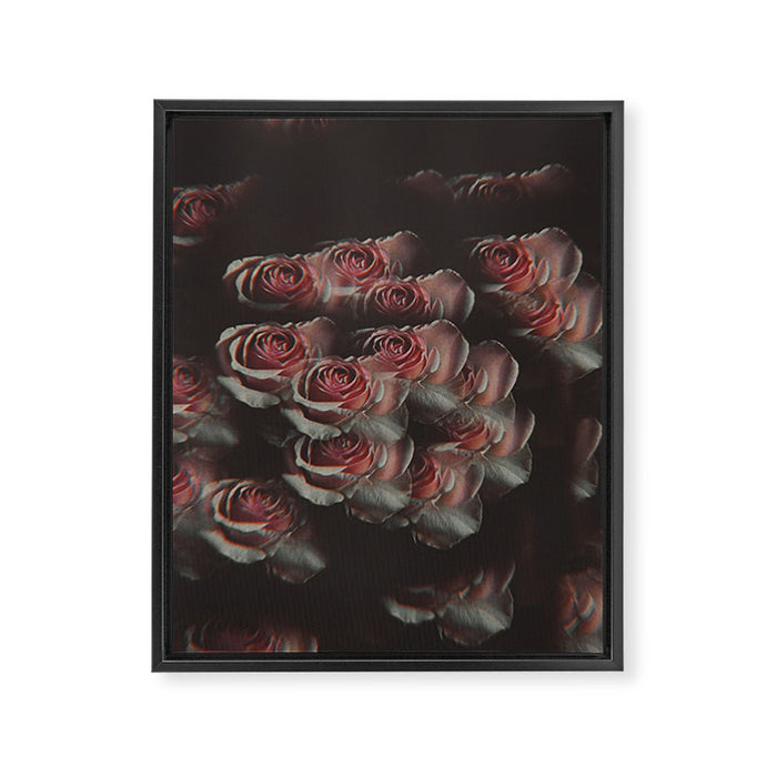 the eyes can't lie Framed Canvas Print Gallery Image 1