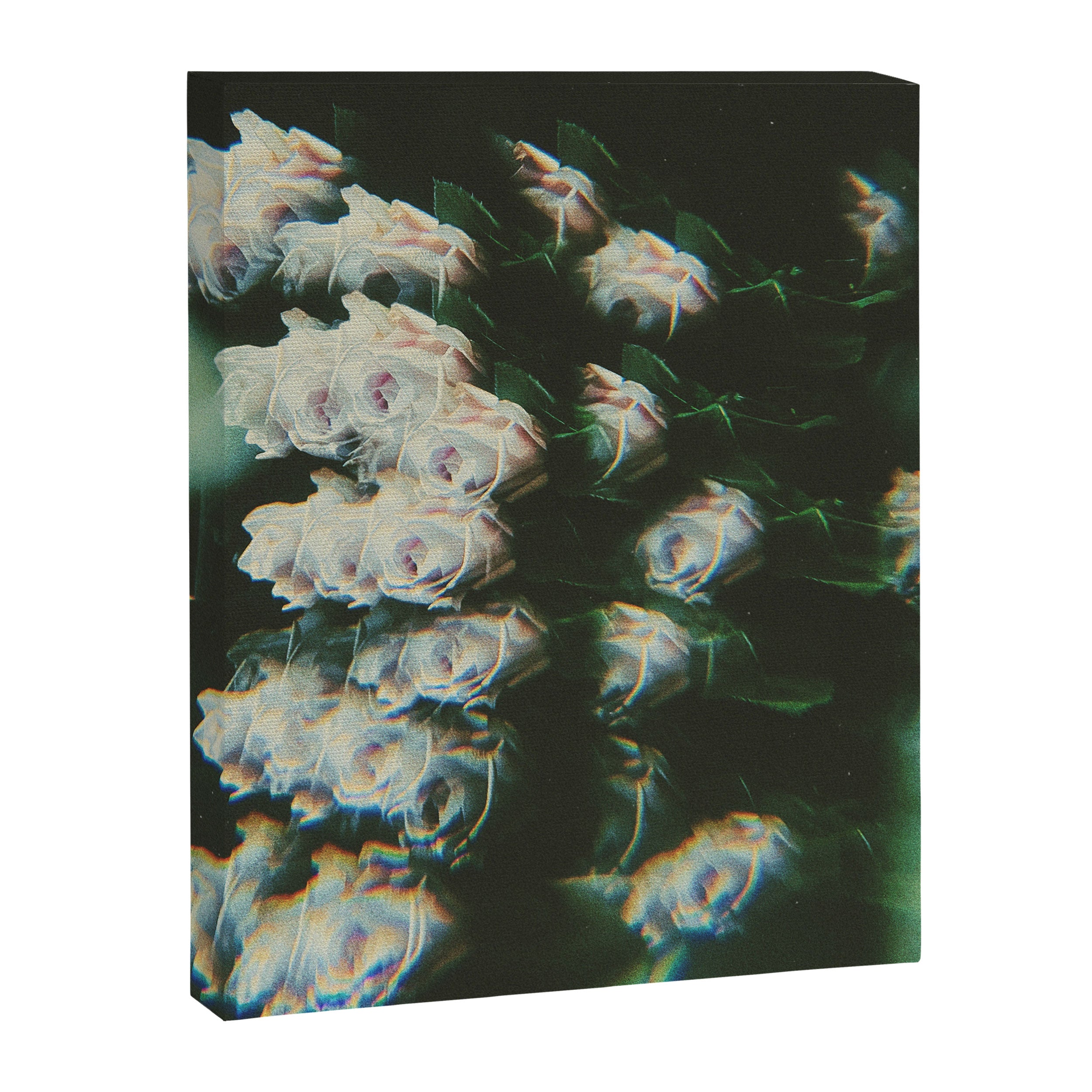 The Unknowable Canvas Print Gallery Image 6