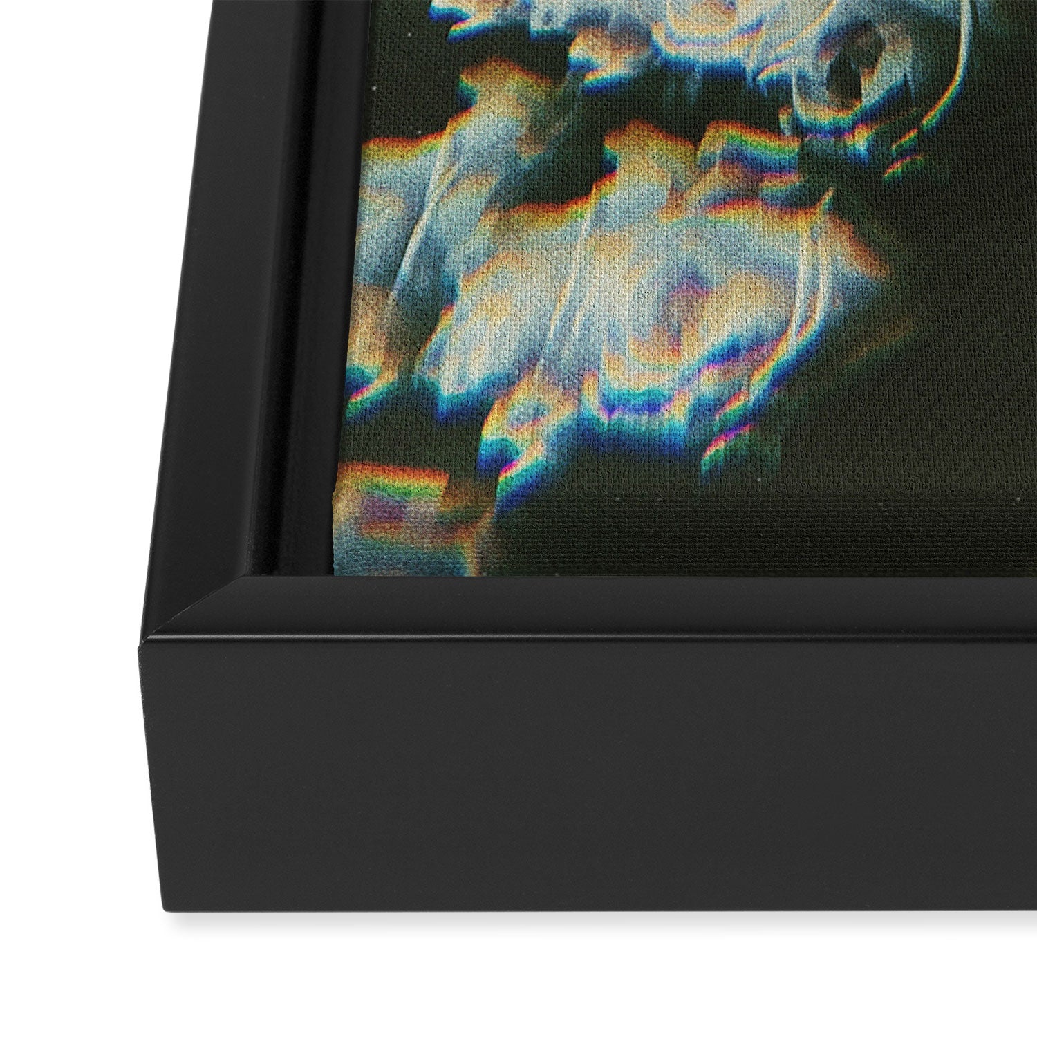 The Unknowable Framed Canvas Print Gallery Image 3