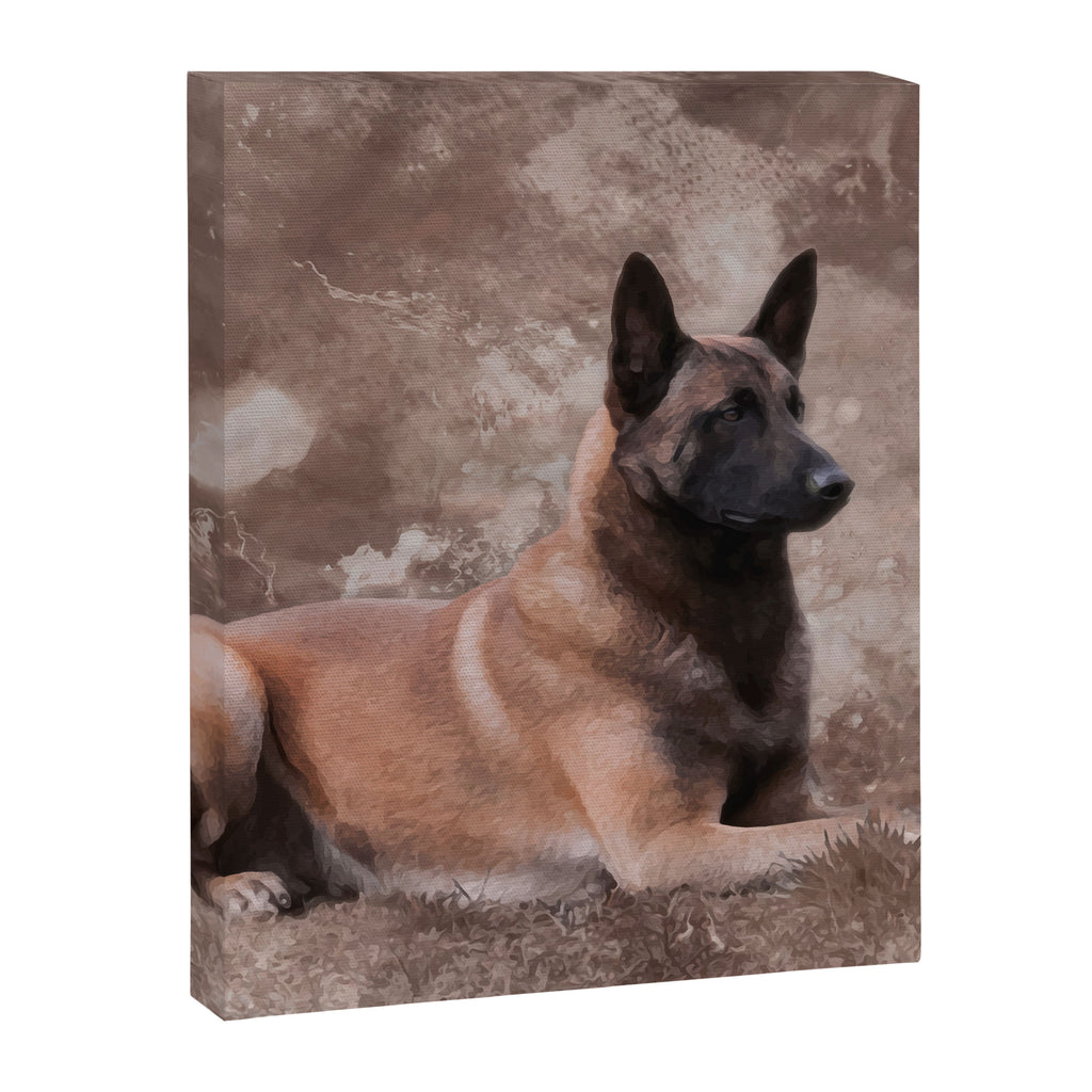 Malinois  Belgian shepherd - Mechelaar Canvas Print Gallery Image 8