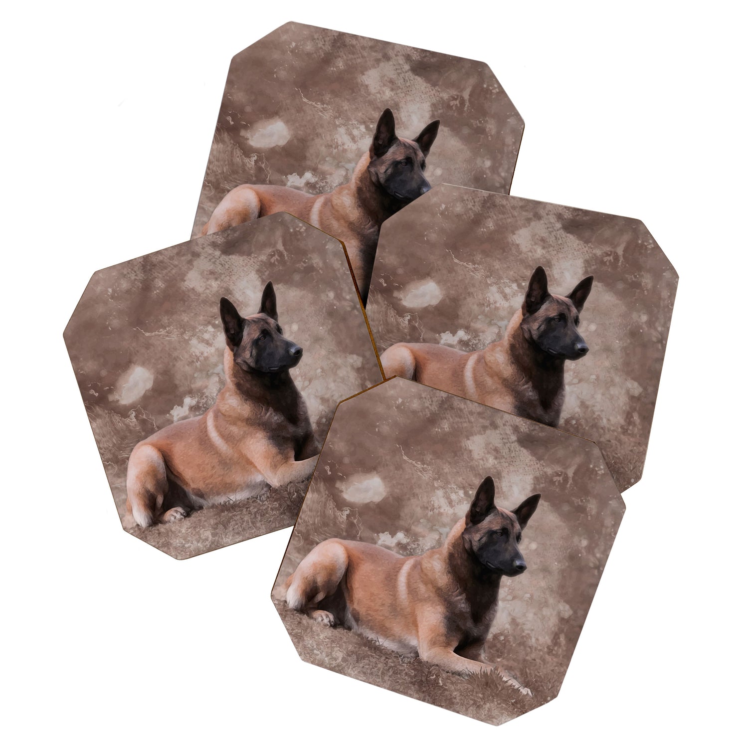 Malinois  Belgian shepherd - Mechelaar Coaster Gallery Image 1