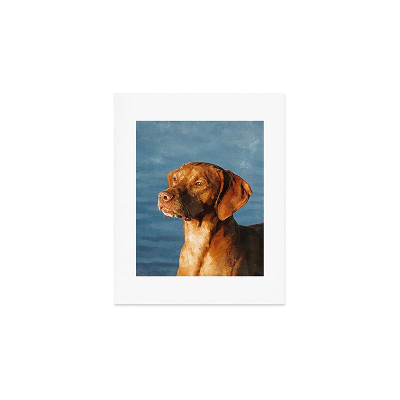 Vizsla dog - Hungarian hound Art Print Gallery Image 1