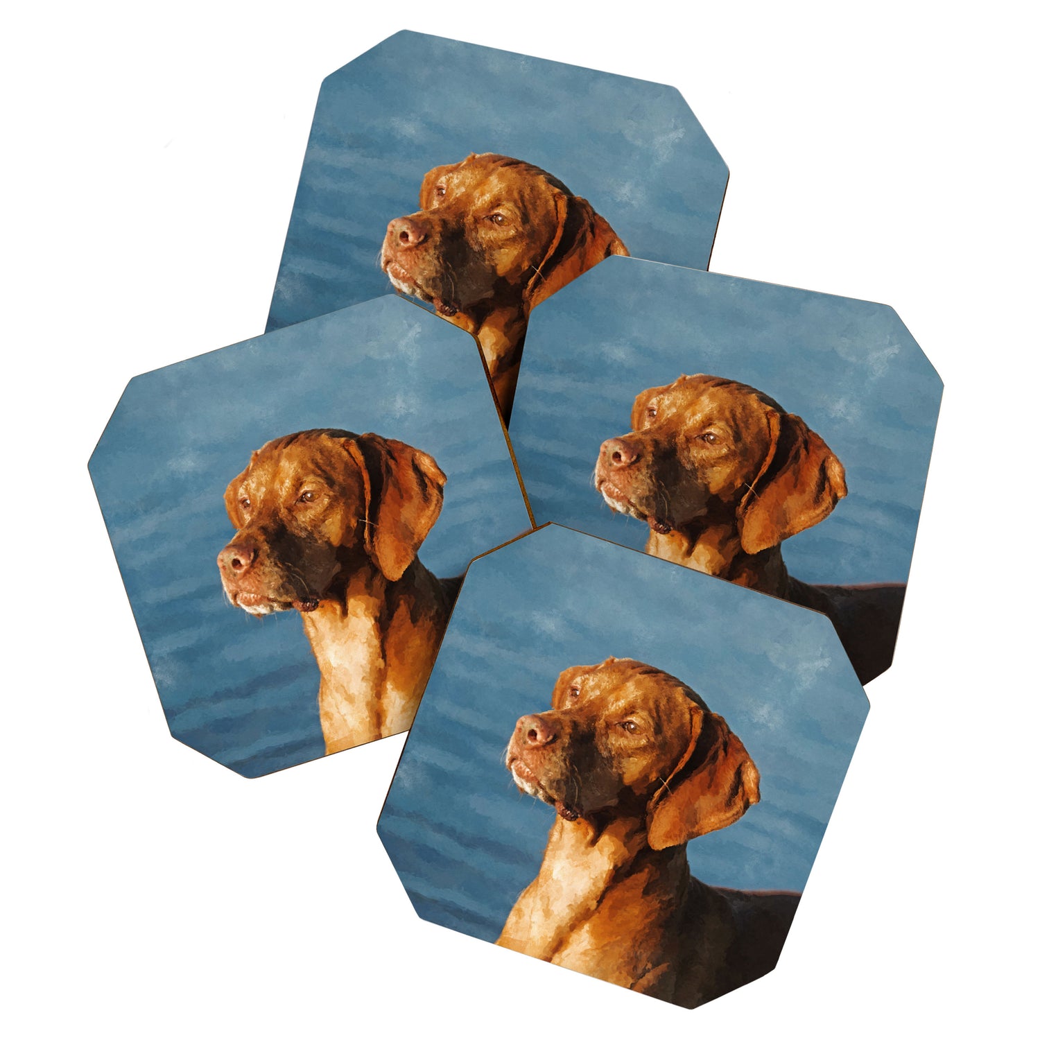 Vizsla dog - Hungarian hound Coaster Gallery Image 1
