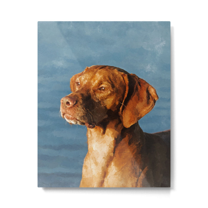 Vizsla dog - Hungarian hound Metal Print Gallery Image 1