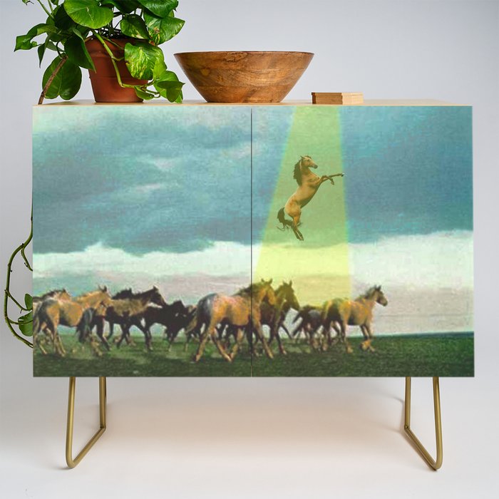 They too love horses (UFO) Credenza Gallery Image 1