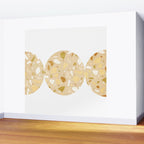 Terrazzo circle shapes Wall Mural Gallery Image 2