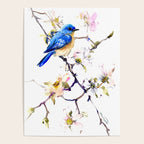 Bluebird and Dogwood, bird and flowers spring colors spring bird songbird design Poster Gallery Image 4