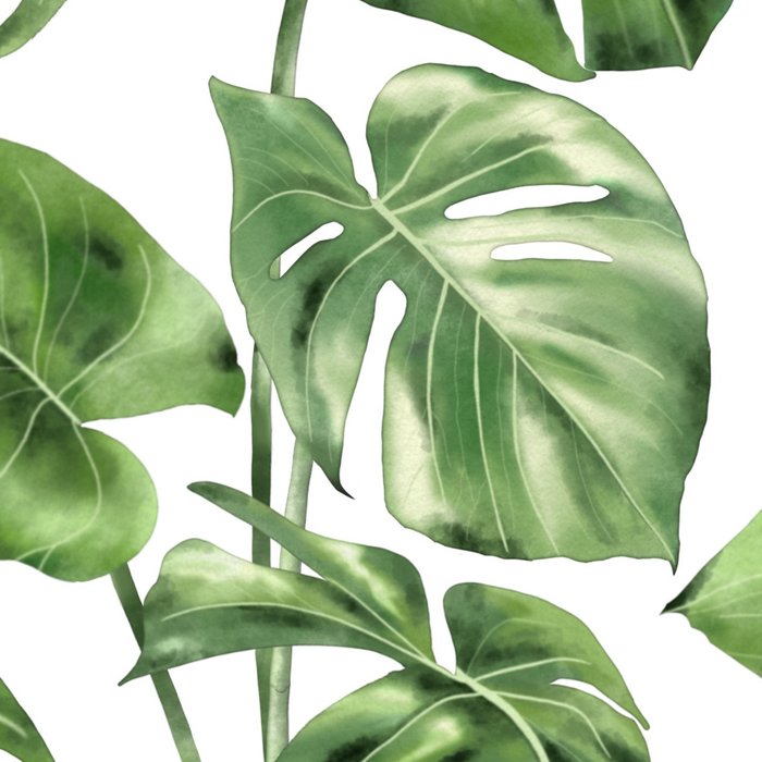 Large Monstera  Coffee Mug Gallery Image 2