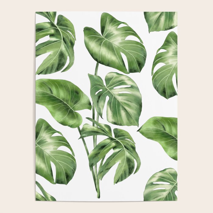 Large Monstera  Poster Gallery Image 4
