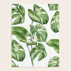 Large Monstera  Poster Gallery Image 4