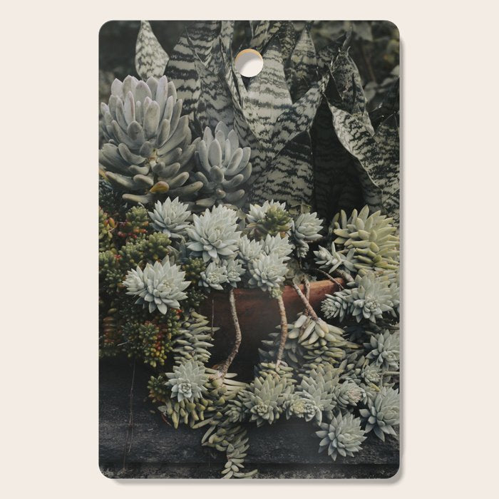 Moody Succulent x houseplant leaf photograph Cutting Board Gallery Image 1
