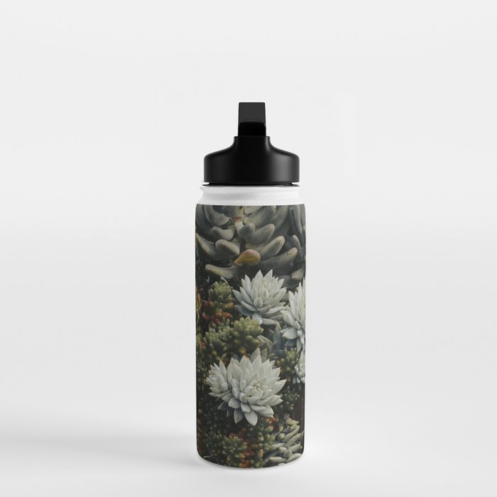 Moody Succulent x houseplant leaf photograph Water Bottle Gallery Image 3