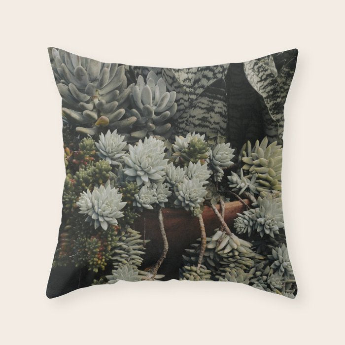 Moody Succulent x houseplant leaf photograph Throw Pillow Gallery Image 6