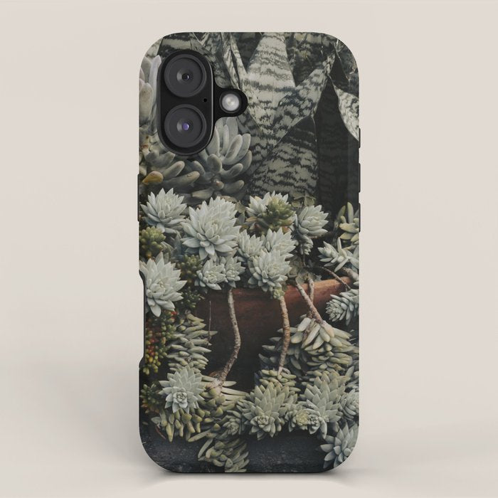 Moody Succulent x houseplant leaf photograph iPhone Case Gallery Image 1