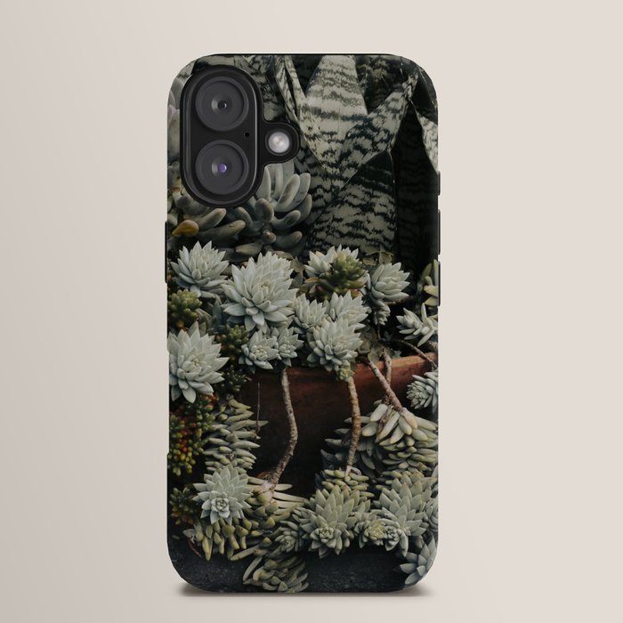 Moody Succulent x houseplant leaf photograph iPhone Case Gallery Image 13