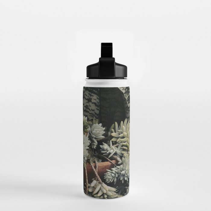 Moody Succulent x houseplant leaf photograph Water Bottle Gallery Image 2