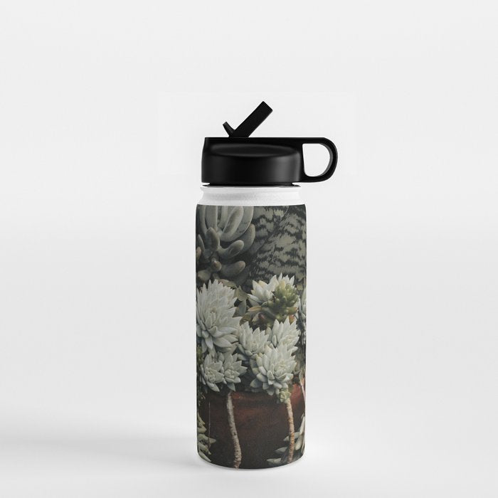 Moody Succulent x houseplant leaf photograph Water Bottle Gallery Image 1