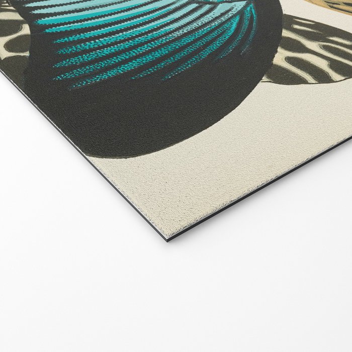 Butterfly Print by E.A. Seguy, 1925 #2 Welcome Mat Gallery Image 2