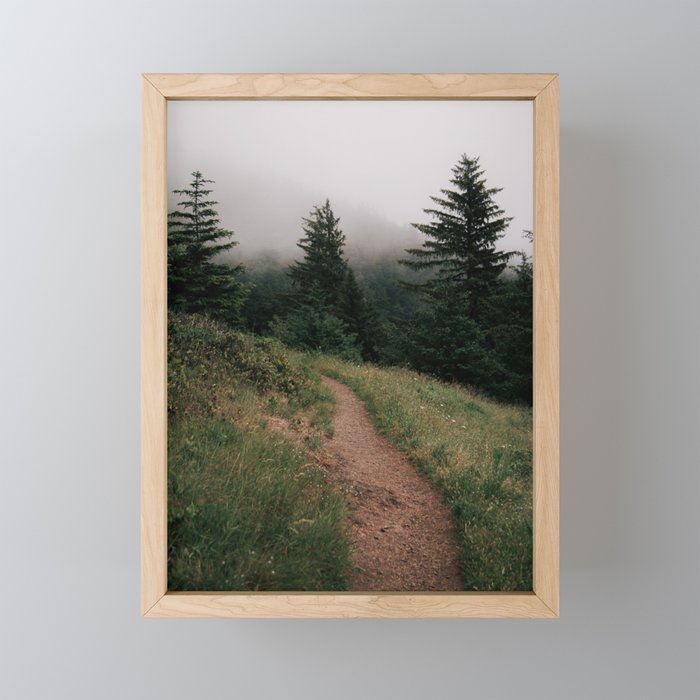 Moody Forest Path Mini Art Print Gallery Image 1