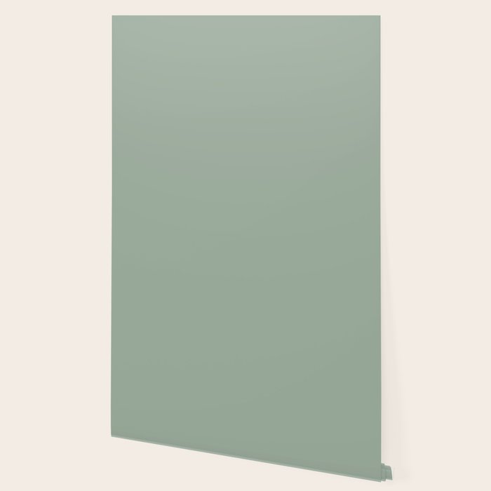 Neutral Sage Grey III Solid Color Wallpaper Gallery Image 2