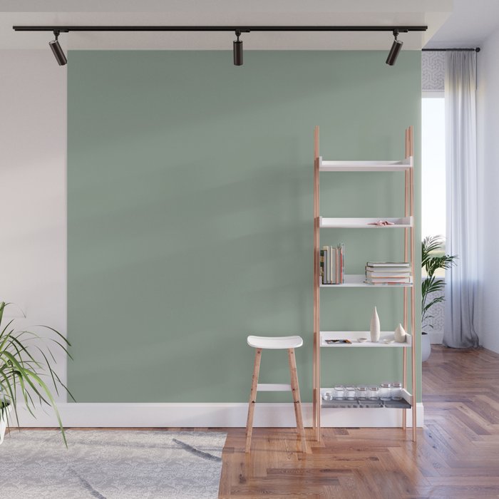 Neutral Sage Grey III Solid Color Wall Mural Gallery Image 1