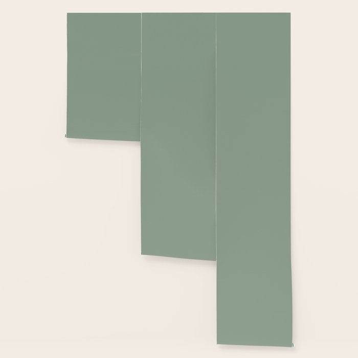 Neutral Sage Grey III Solid Color Wallpaper Gallery Image 3