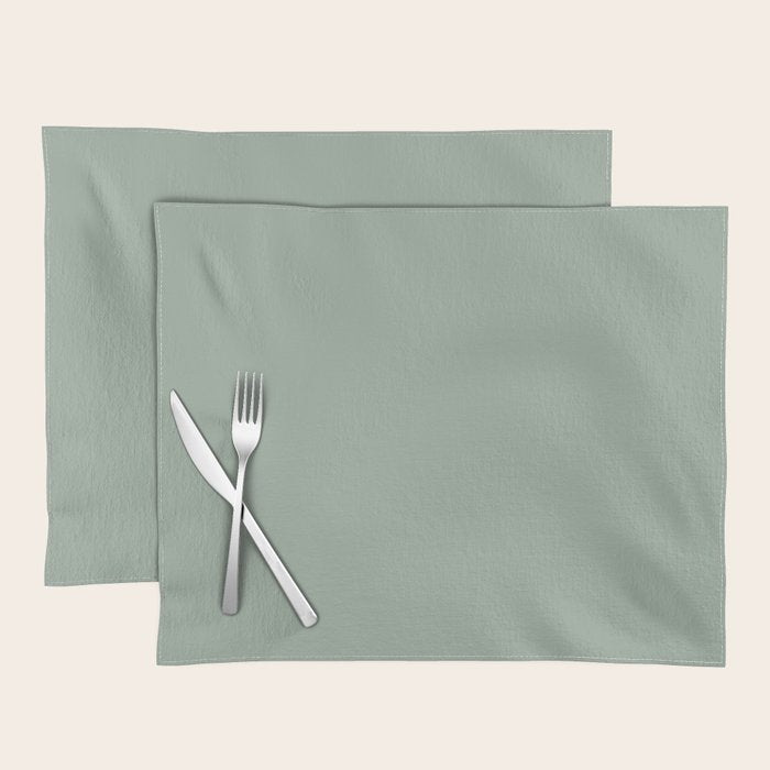 Neutral Sage Grey III Solid Color Placemat Gallery Image 1