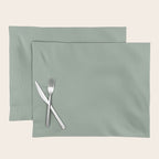 Neutral Sage Grey III Solid Color Placemat Gallery Image 1